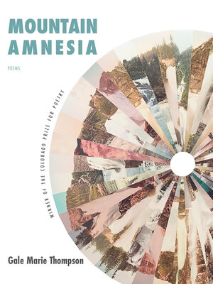 cover image of Mountain Amnesia